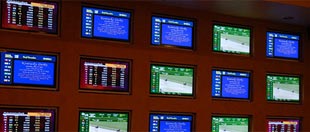 Race & Sports Book